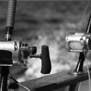 Meet your Posher, Levi trantham